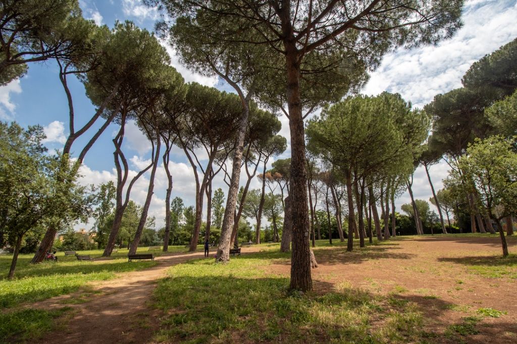 Arbres du Parco delle Energie